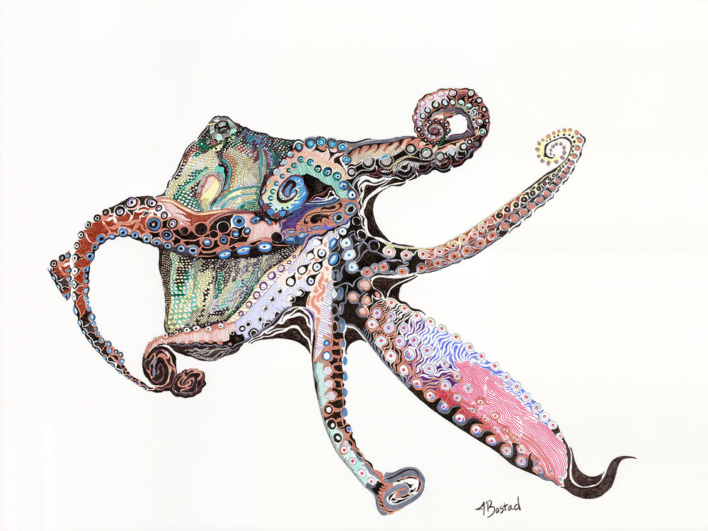 1000x750 Jessi Bostad