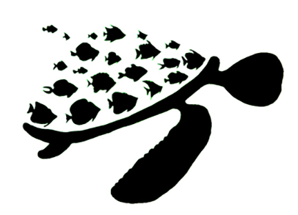 432x312 Pre College Portfolio In Washington Dc Area