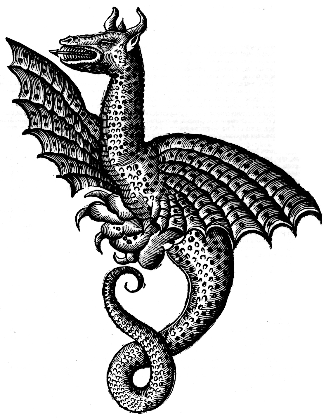 1116x1432 Vintage Drawing Dragon For Free Download