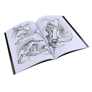 Dragon Claw Drawing