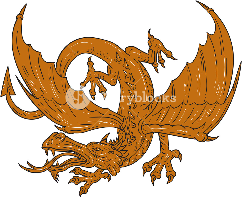1000x813 Drawing Sketch Style Illustration Of An Angry Agressive Dragon