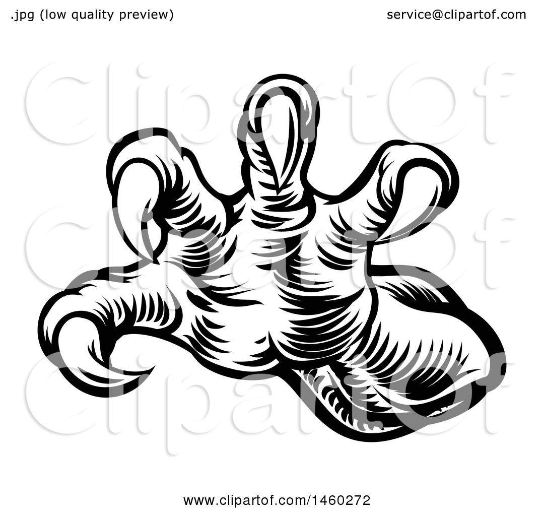 1080x1024 Collection Of Free Dragon Vector Claw Download On Ui Ex