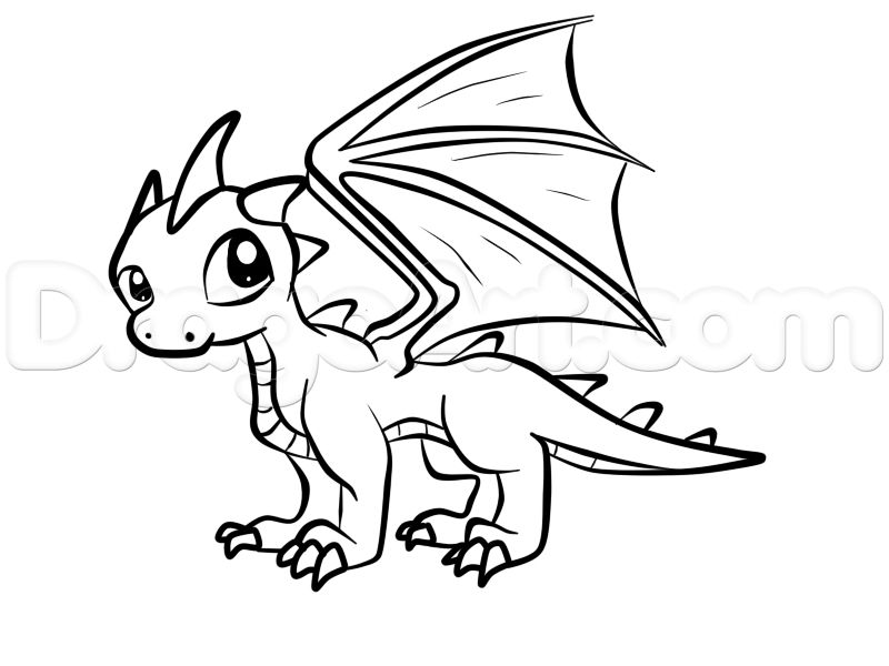 800x600 How To Draw A Baby Dragon Step