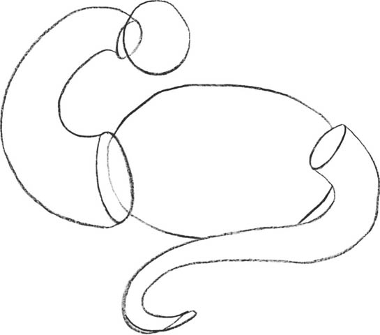 545x480 Drachenstein