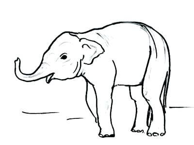 400x300 Dragon Drawing Easy Baby Drawing Easy How To Draw A Baby Elephant