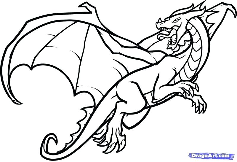 800x546 How To Draw A Dragon Easy Step