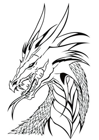 340x480 How To Draw A Dragon Head For Kids