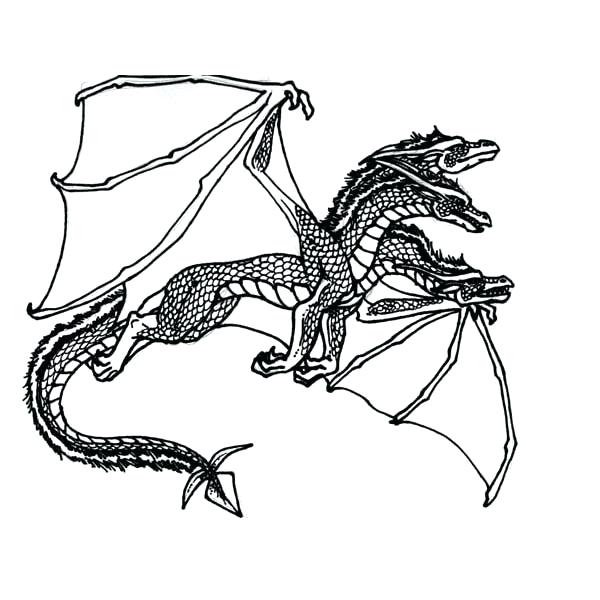 600x600 dragons coloring pages dragon coloring sheet baby dragons coloring