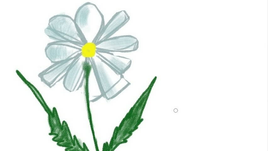852x480 Digital Drawing Of A Flower, Stock Footage Video