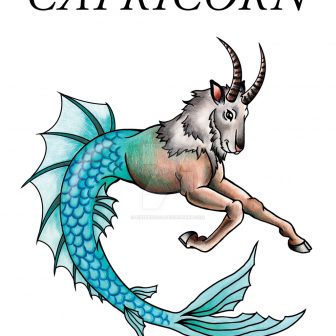336x336 capricorn drawings tumblr symbol of woman zodiac girl carmi chaelinn