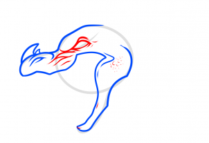 302x207 Dragon Drawing Tutorial Toons Mag