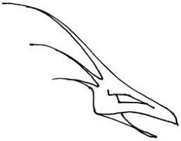 255x198 Image Result For How To Draw A Simple Dragon's Eye Step