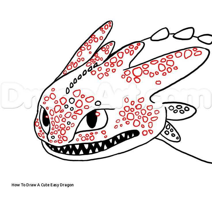 736x690 Dragon Drawings Step