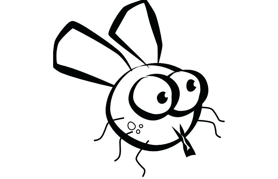 900x580 drawing of a fly fruit fly flynn rider drawing step