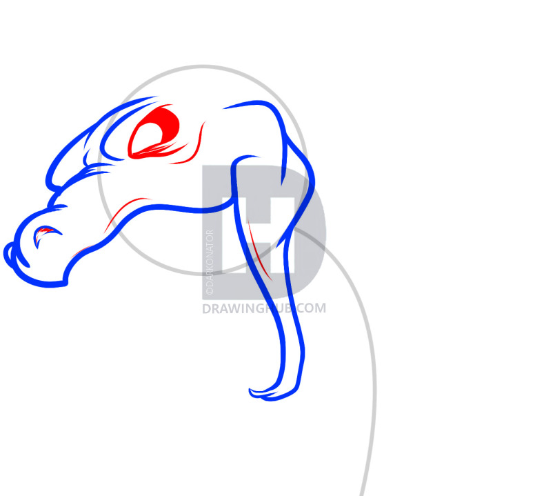 776x719 How To Draw A Dragon Tattoo, Dragon Tattoo, Step