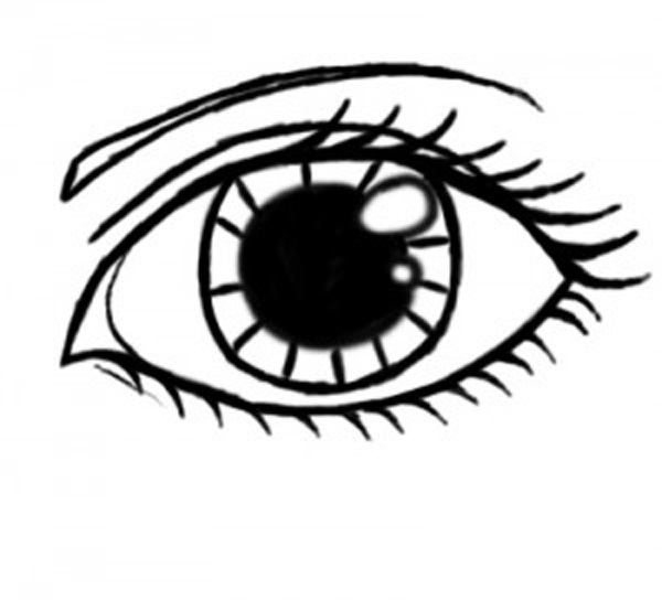 600x544 Eyes Drawing Clipart