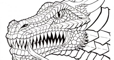 471x250 Fire Breathing Dragon Line Drawing Welsh Face Dance Free