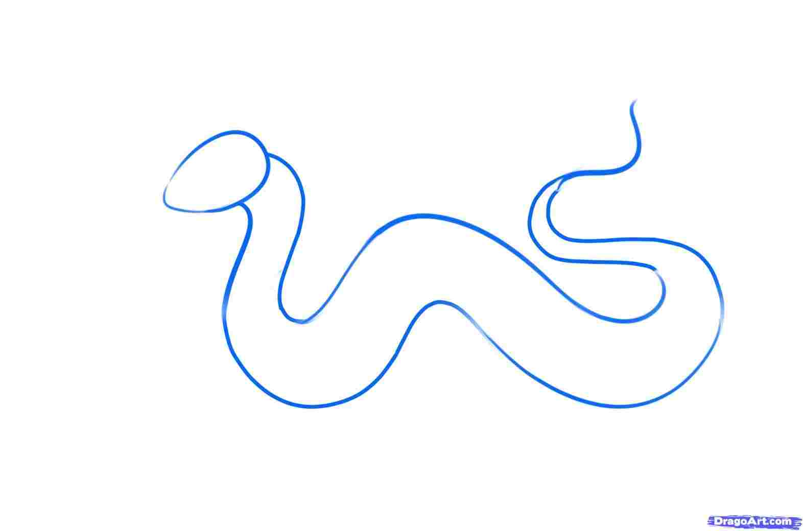 1572x1040 free for personal use rhgetdrawingscom dragon chinese dragon face