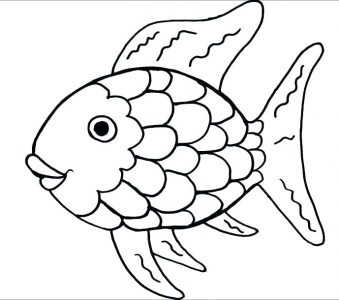 Dragon Fish Drawing | Free download on ClipArtMag