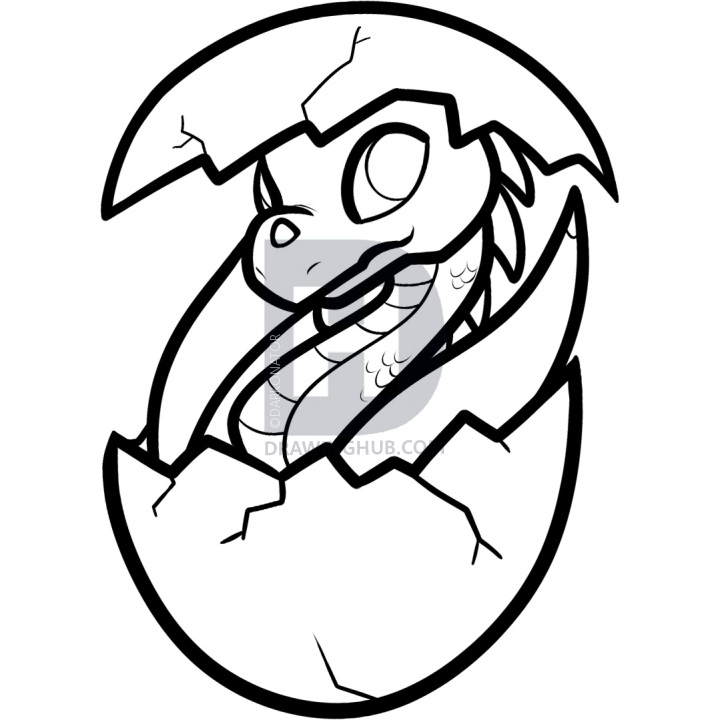720x720 how to draw a dragon hatchling, dragon hatchling, step
