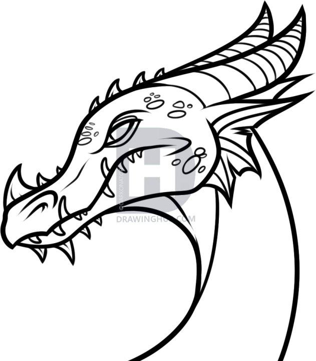 631x720 How To Draw A Green Dragon, Step