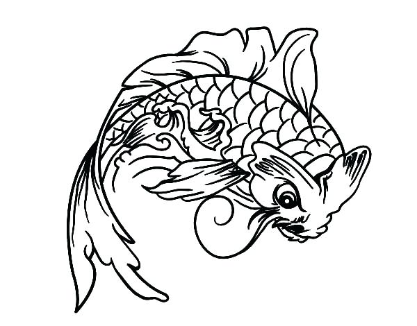 600x470 Koi Fish Tattoo Color Meaning Chart Drawing At Free For Personal