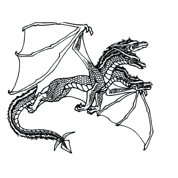 600x600 Dragons Rise Of Berk Coloring Pages Coloring Pages Dragons Flying