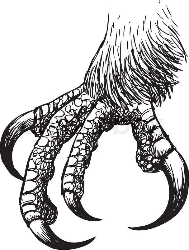 607x800 Huge Collection Of 'claw Drawing' Download More Than Images
