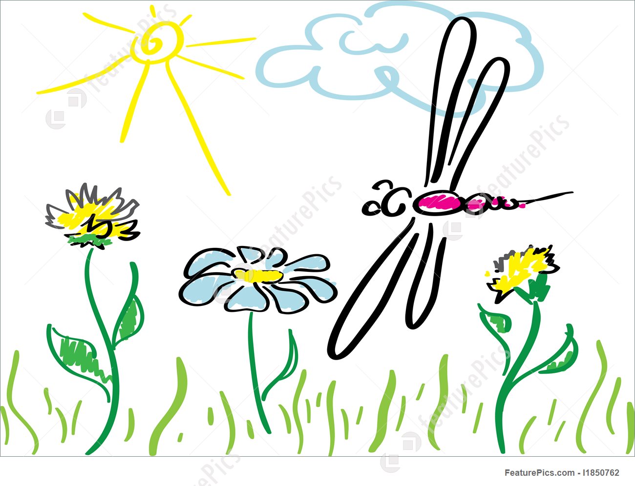 1300x996 Dragon Fly Illustration