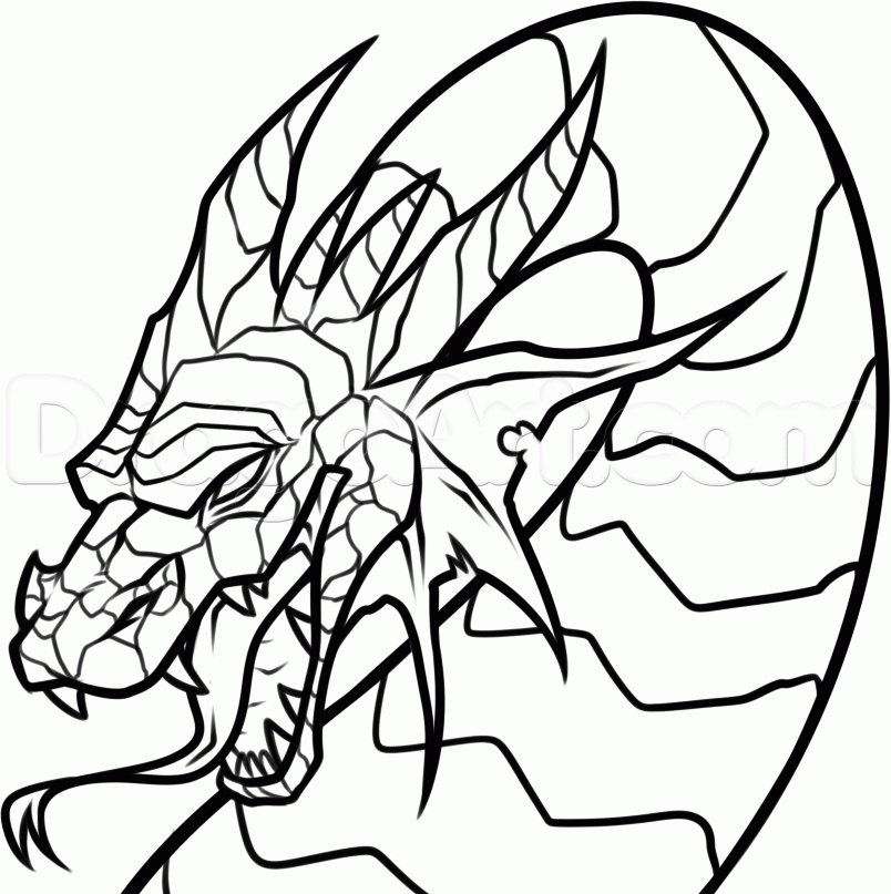 804x807 How To Draw A Dragon Head Step Dragons Drawings, Dragon