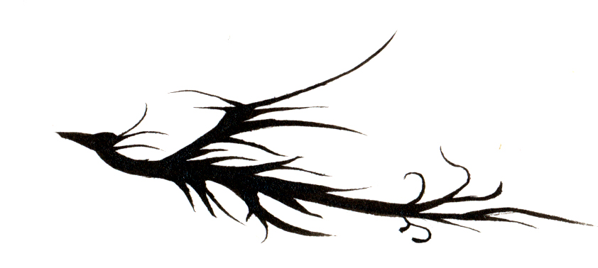 842x378 Sketchblog Of Amaya G Ink Drawings