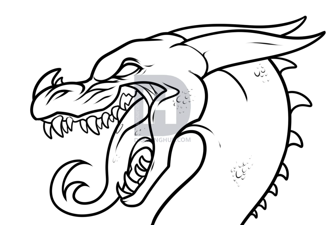 1047x720 Dragon Drawing Tutorial, Step