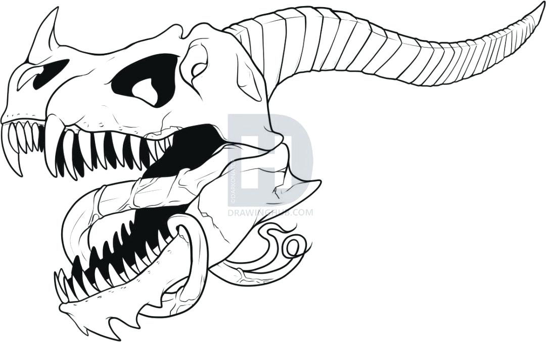 1080x676 Drawing Dragon A Dragon Drawing Dragon Wings Drawing Easy