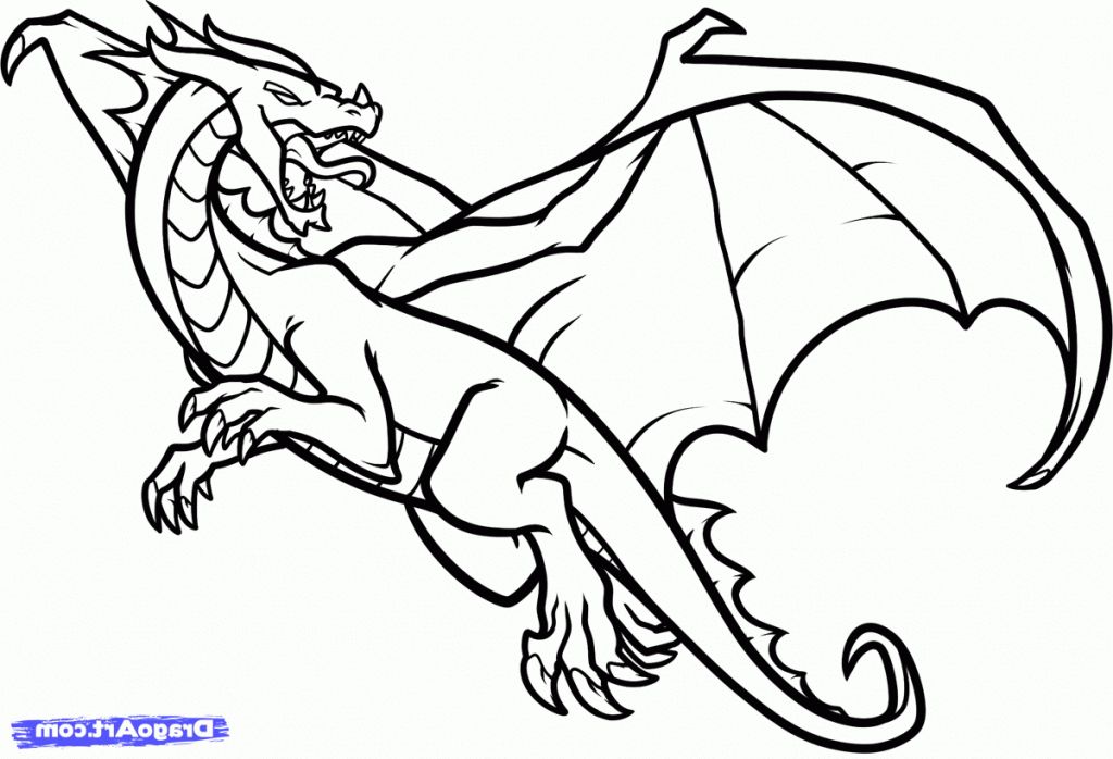 1024x698 Dragon Drawing Free Download Clip Art