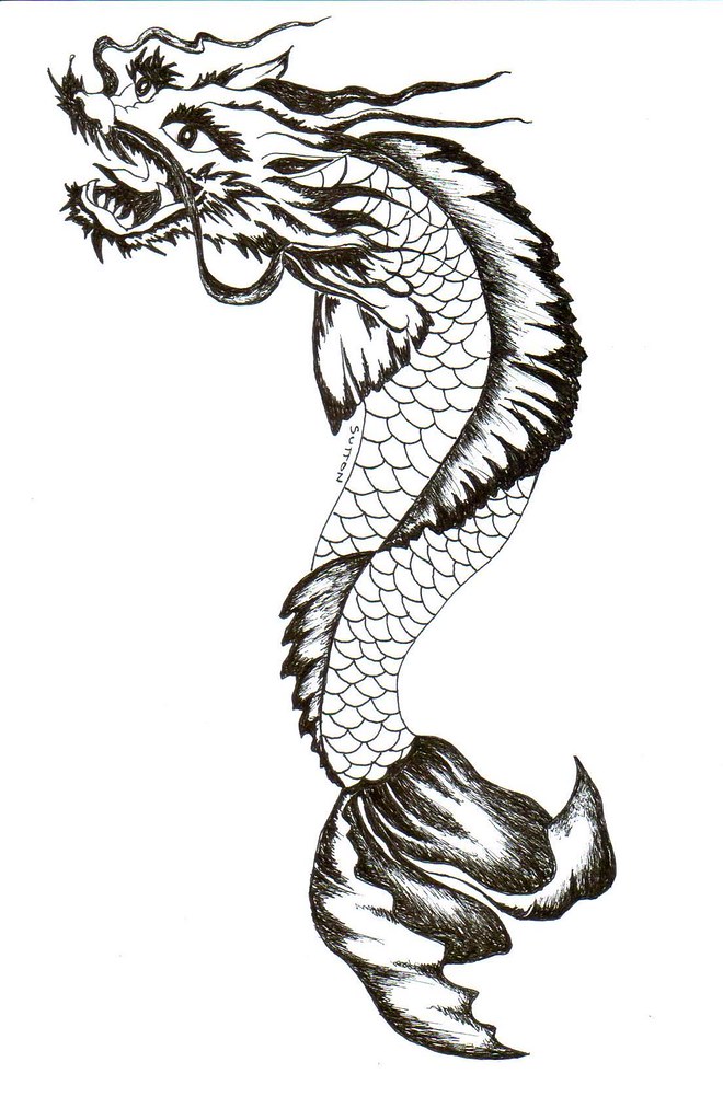 660x1023 koi dragon drawing in pen koi dragon debra sutton