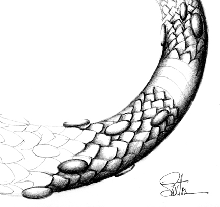 432x406 A Tail Gets Scales