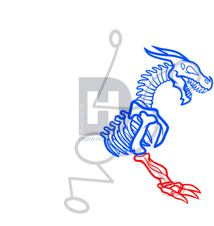 683x720 How To Draw A Dragon Skeleton, Dragon Skeleton, Step