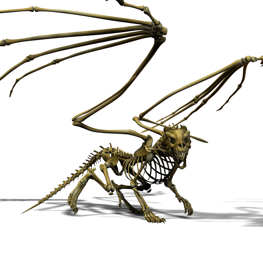 900x918 Collection Of Free Bones Drawing Bone Dragon Download On Ui Ex