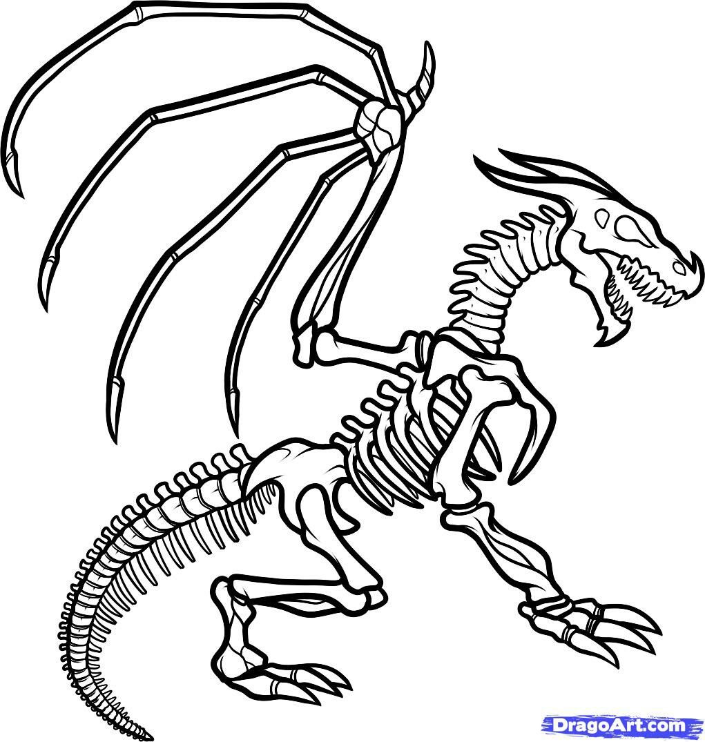 1021x1075 Dragon, Skeleton How To Draw Mangaanime How To Draw Manga