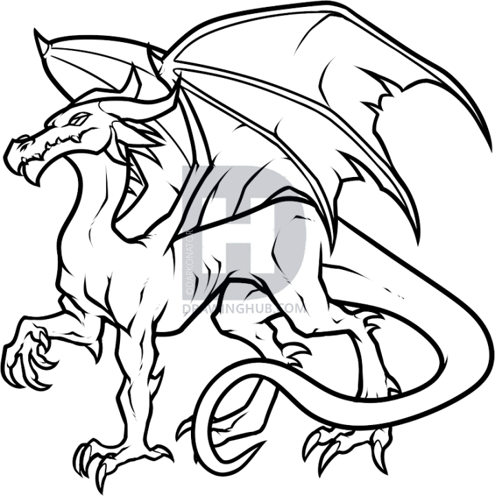 718x720 How To Draw A Dragon, Step