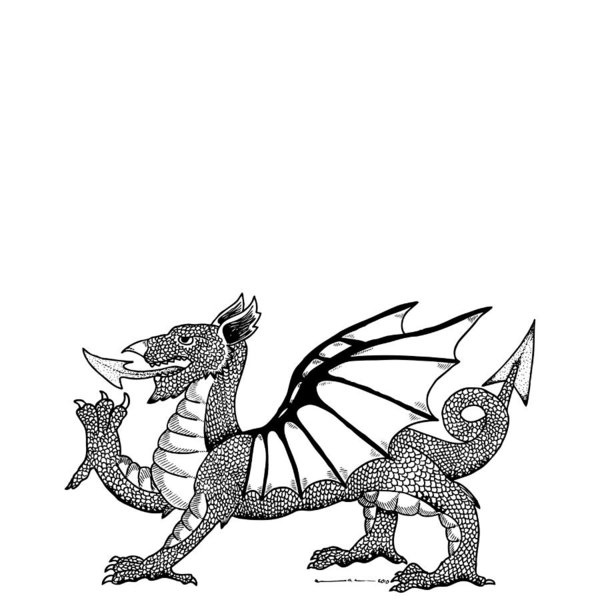 600x600 Dragon Tail Drawings Fine Art America