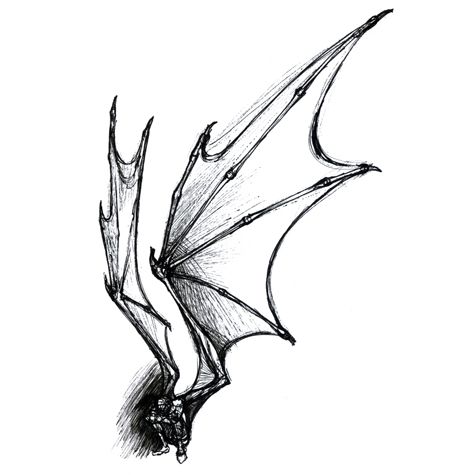 Dragon Wings Drawing | Free download on ClipArtMag