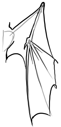 240x494 Closed Dragon Wings