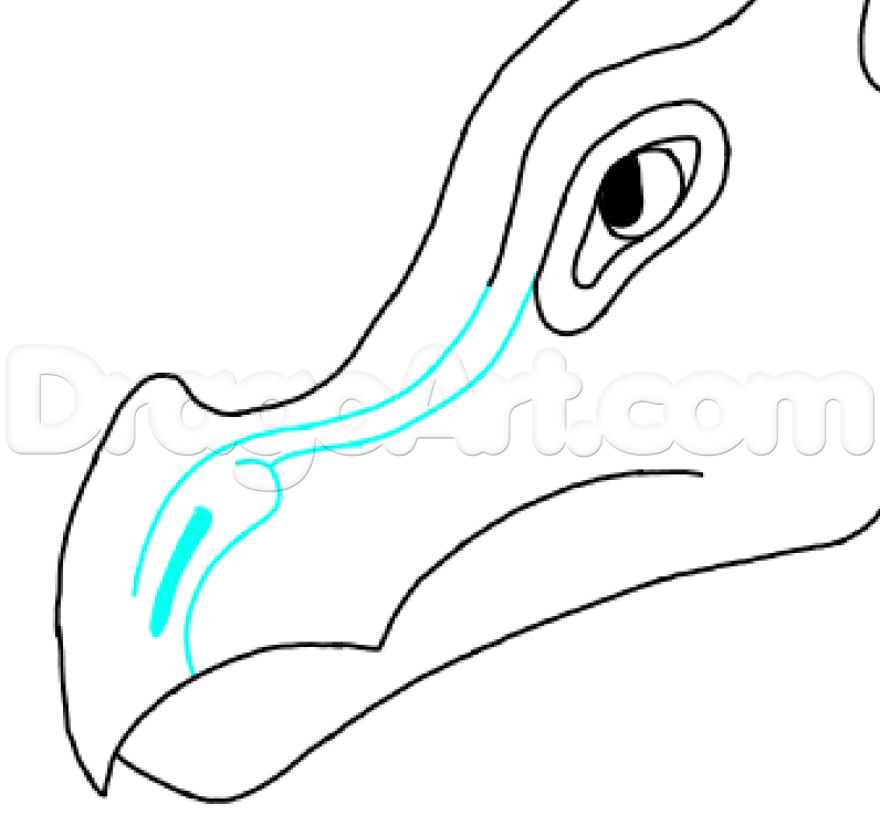 796x755 How To Draw Leafwing, Wings Of Fire, Step