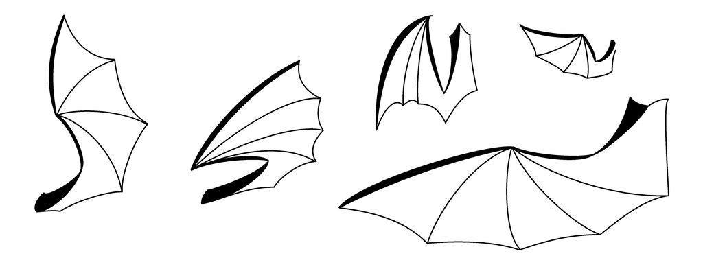 1024x392 Dragon Wings Ideas