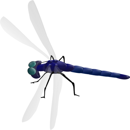 498x500 Dragonfly Drawing