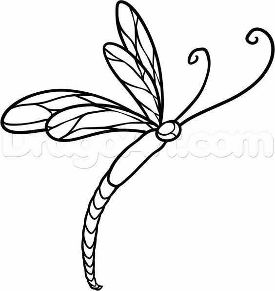 564x596 Dragonfly Drawing Free Download