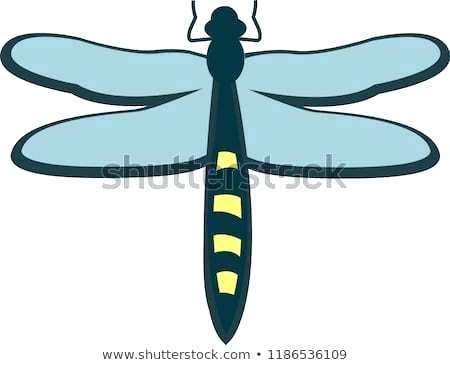 450x365 Simple Dragonfly Drawing Dragon Easy Dragonfly Drawing
