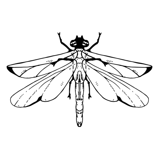 512x512 Collection Of Free Dragonfly Drawing Vector Download On Ui Ex