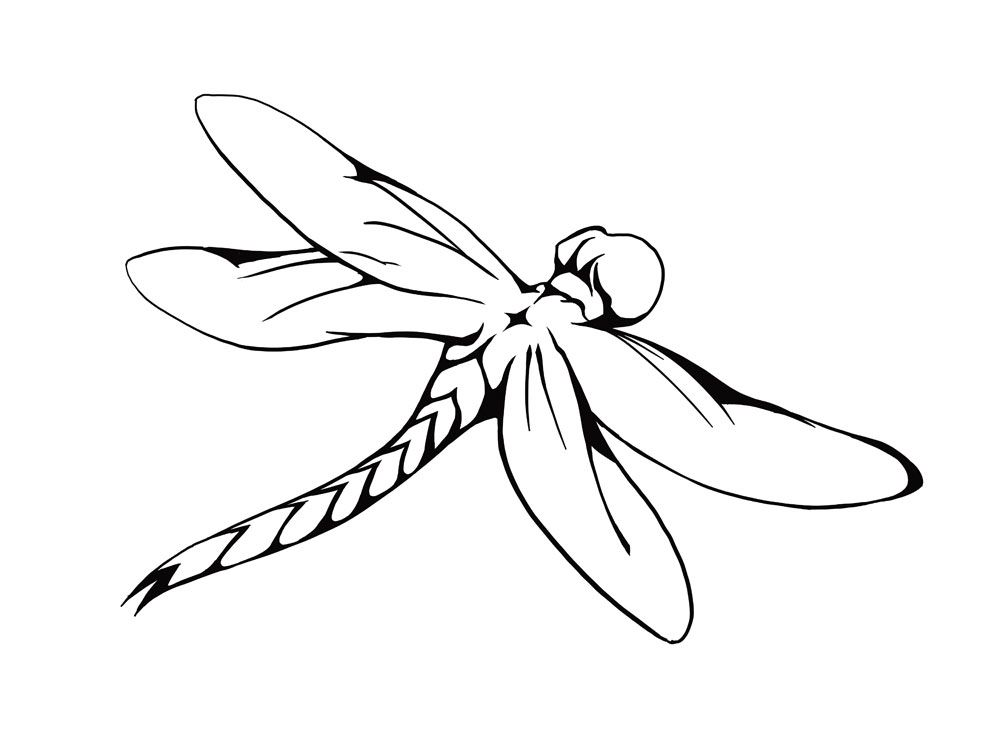 Dragonfly Images Drawings